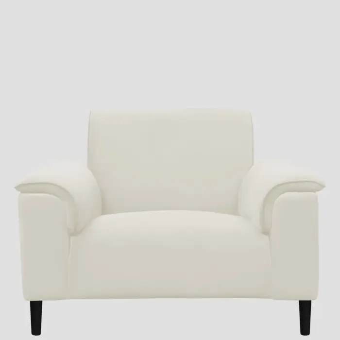 Contemporary 1 Seater Sofas