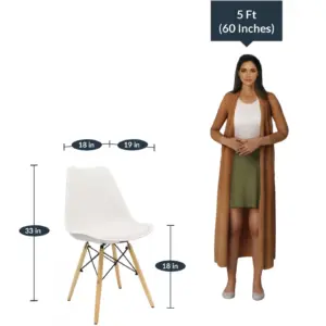 Iconic Dining Chairs