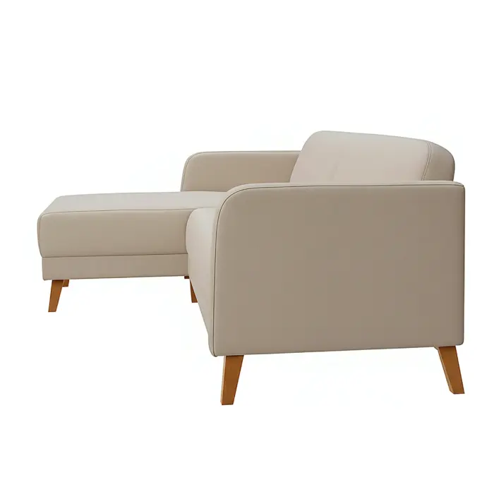 longer sofa (3) longer sofa (3)